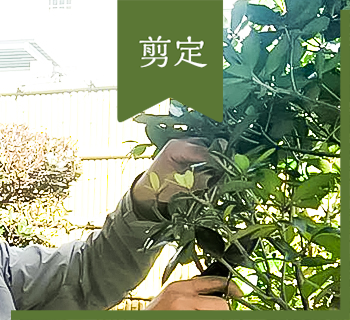 料金表 中村庭園